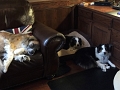 Dogs_Holidays_12-2017 (2)